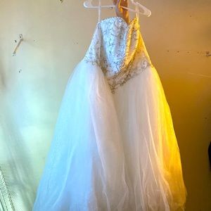 Wedding dress from David’s bridal